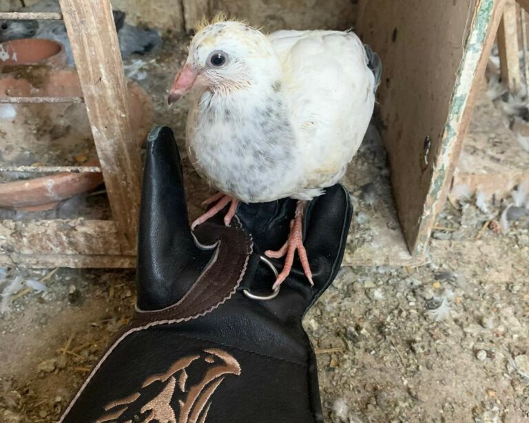 20260120_153646000_iOS