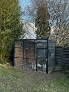 Read more about the article La volière de Bony : un espace pensé pour son bien‑être